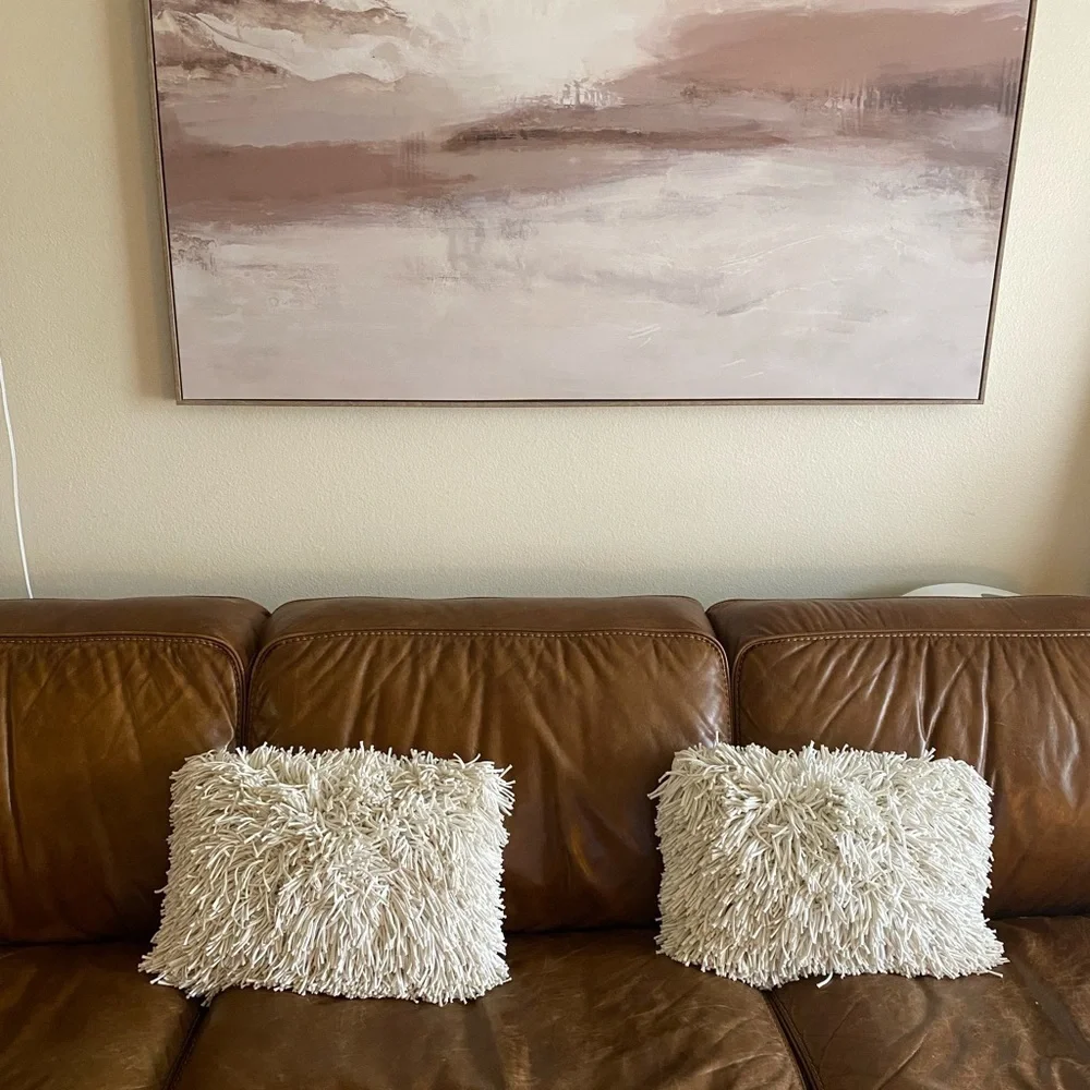 Crate & Barrel Remy Cotton Pillow & Case Cover X2